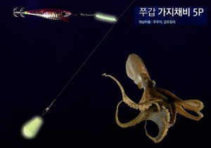 카즈미 쭈갑 가지채비 5개입 / 쭈꾸미 갑오징어